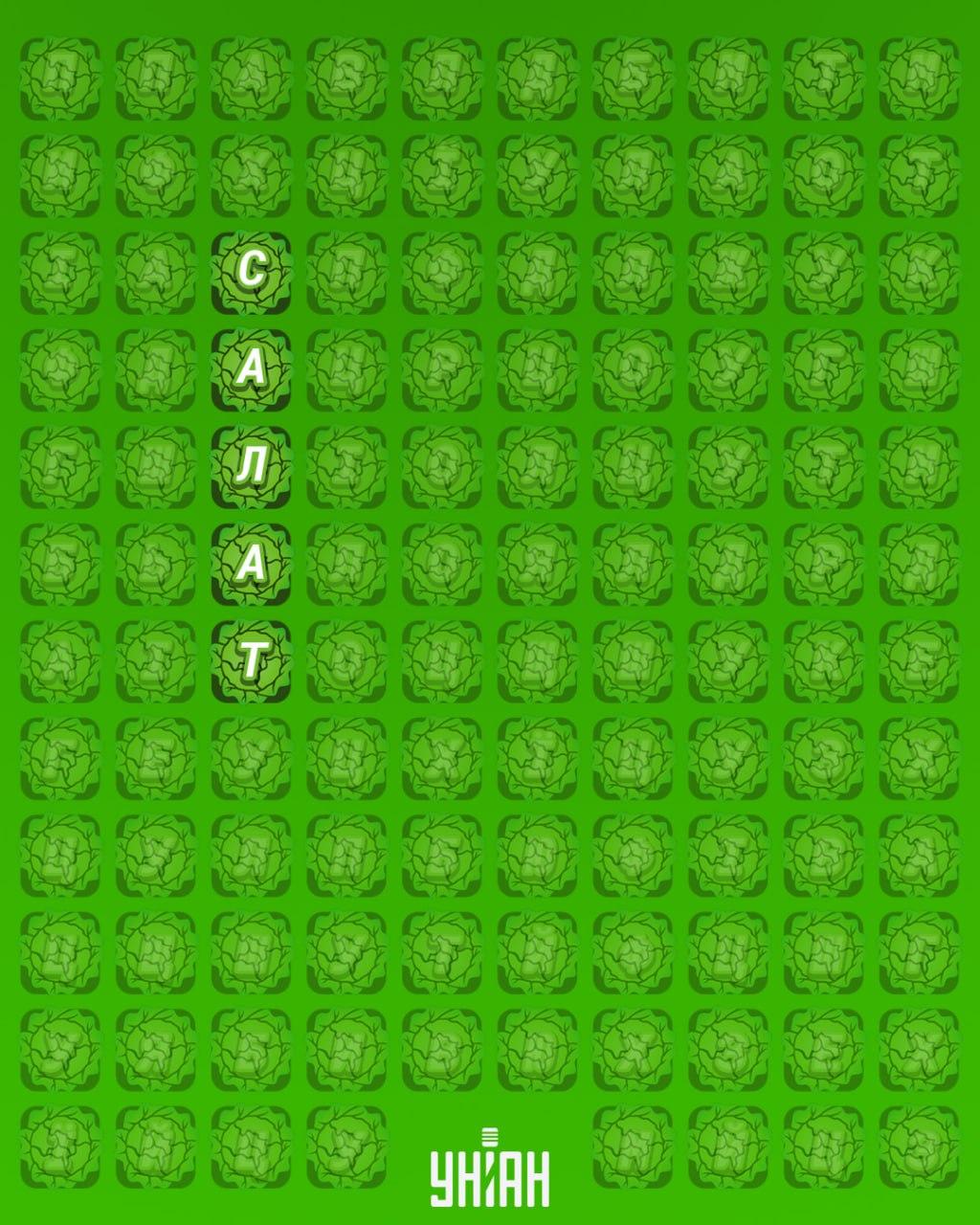 98 % lidí nedokáže najít slovo 