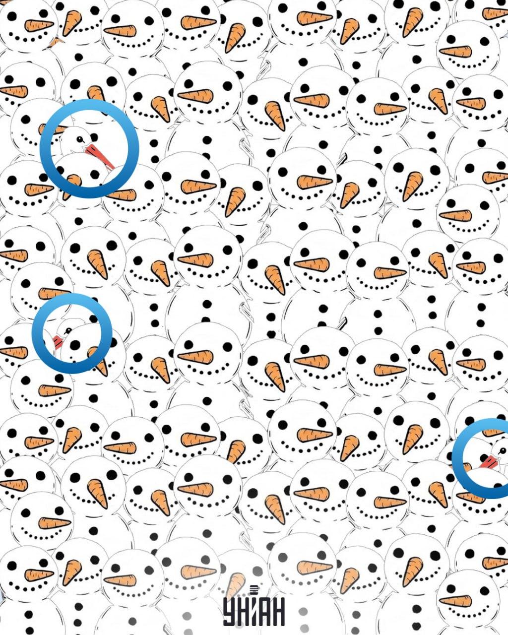 Najděte 3 čápy mezi sněhuláky za 11 sekund: úžasný optický klam