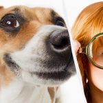 Jen opravdový IQ titán uvidí psa na sněhu za 10 sekund: dechberoucí optický klam Jen opravdový IQ titán uvidí psa na sněhu za 10