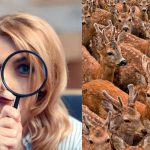 Nalezení tří koz mezi jeleny za 11 sekund: velmi složitý optický klam Nalezení tří koz mezi jeleny za 11 sekund: velmi složitý