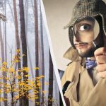 Pouze 2 % lidí najdou veverku v lese za 12 sekund: úžasný optický klam Pouze 2 % lidí najdou veverku v lese za 12